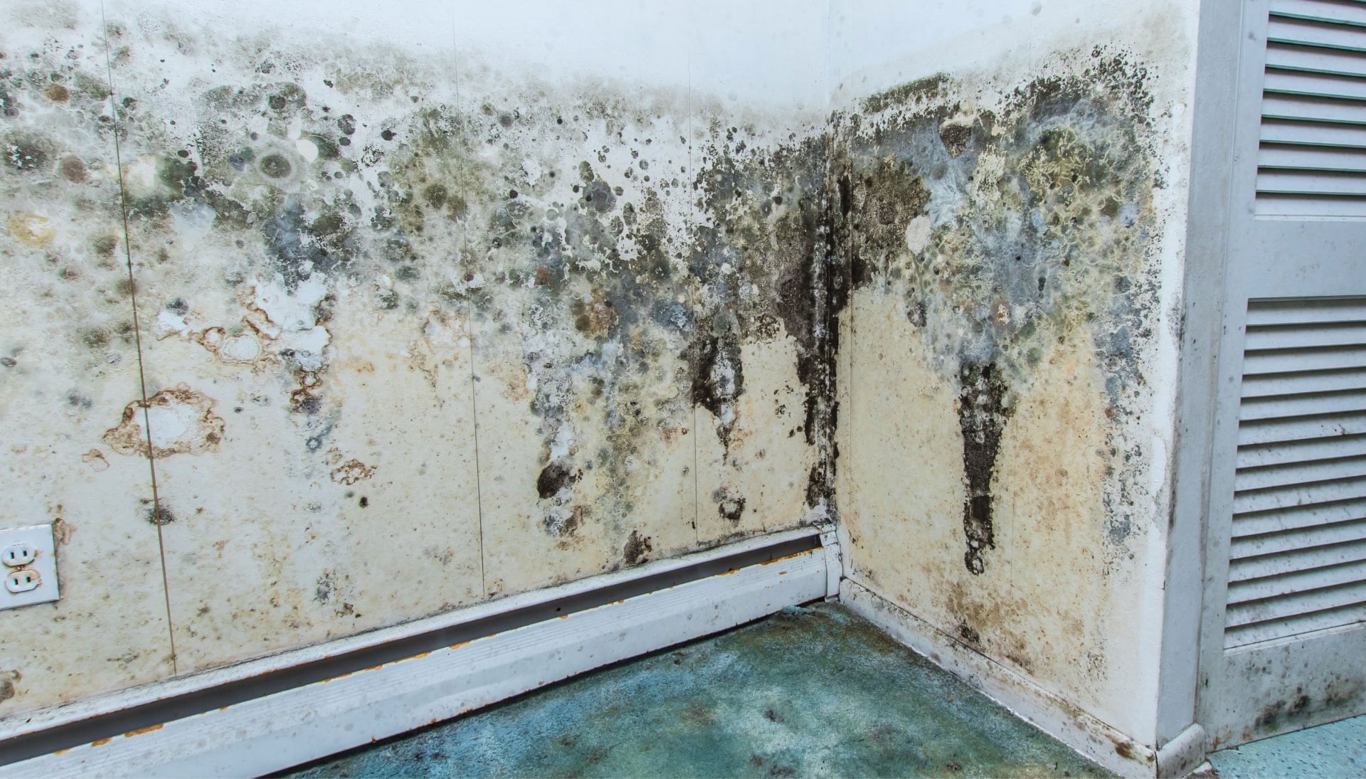 Professional mold removal, odor control, and water damage restoration service in Caldwell, New Jersey.