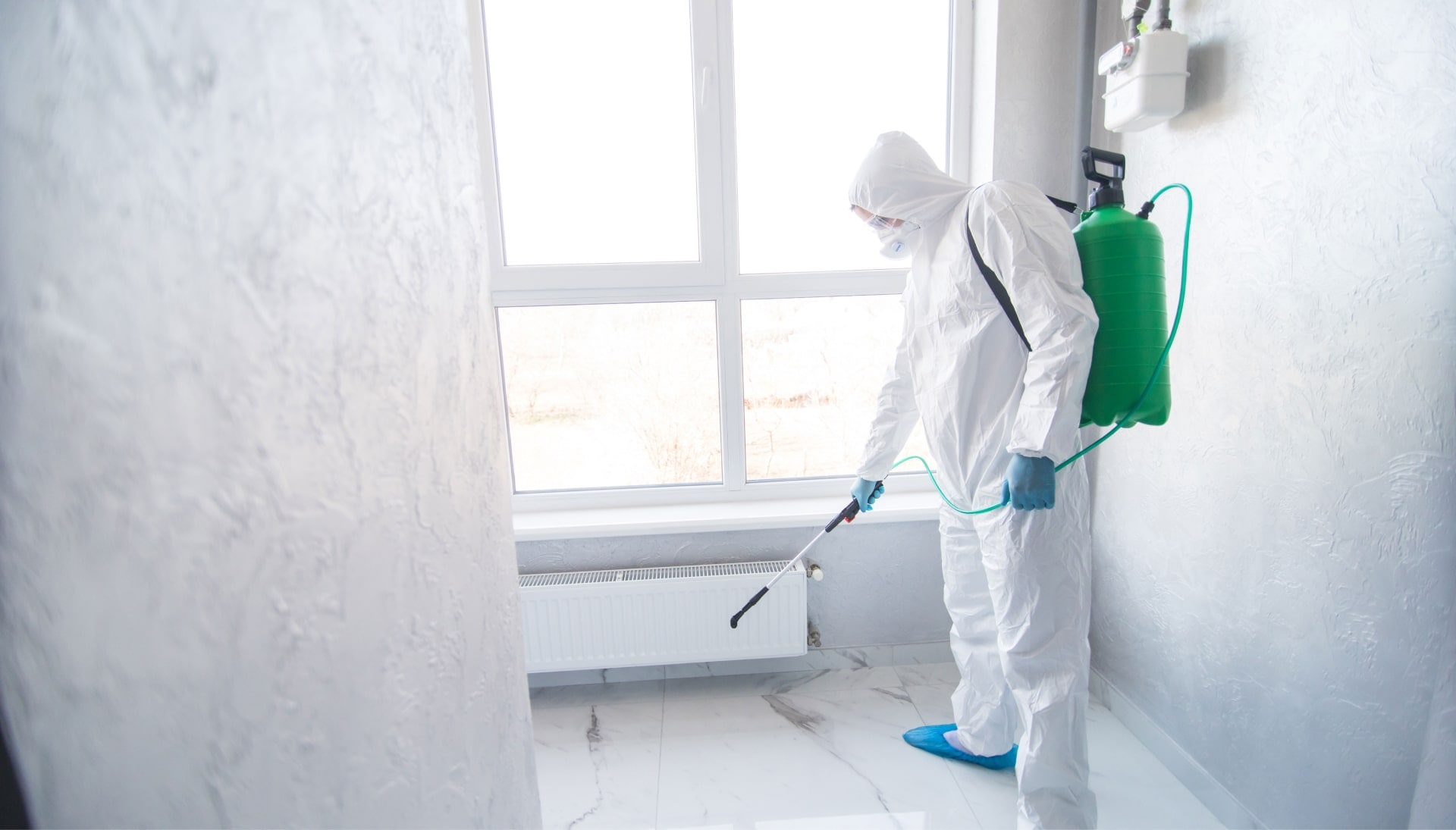 We provide the highest-quality mold inspection, testing, and removal services in the Caldwell, New Jersey area.